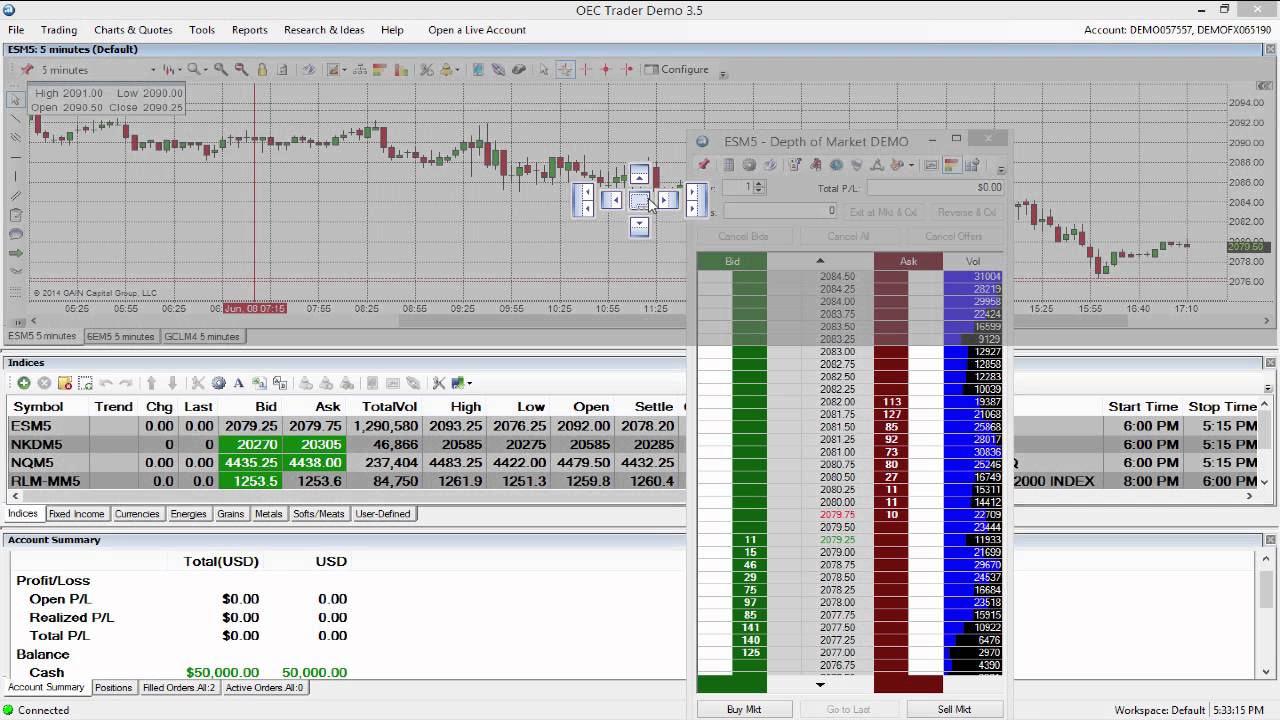 OEC(open e cry)Trader – Depth of Market (DOM) Screen